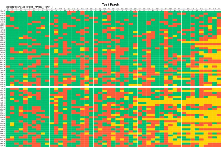 Test Teach student response report: every child as a number, ranked by score, with each question marked right, wrong or blank